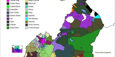 Harta Camerun limba